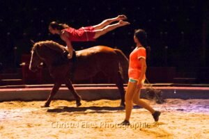 Lire la suite à propos de l’article 1TRG